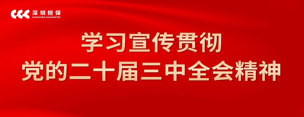 党的二十届三中全会